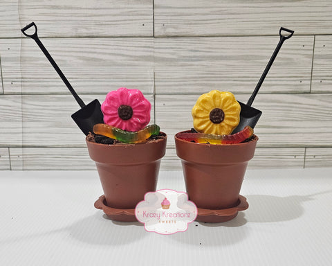 Cake Flower Pot