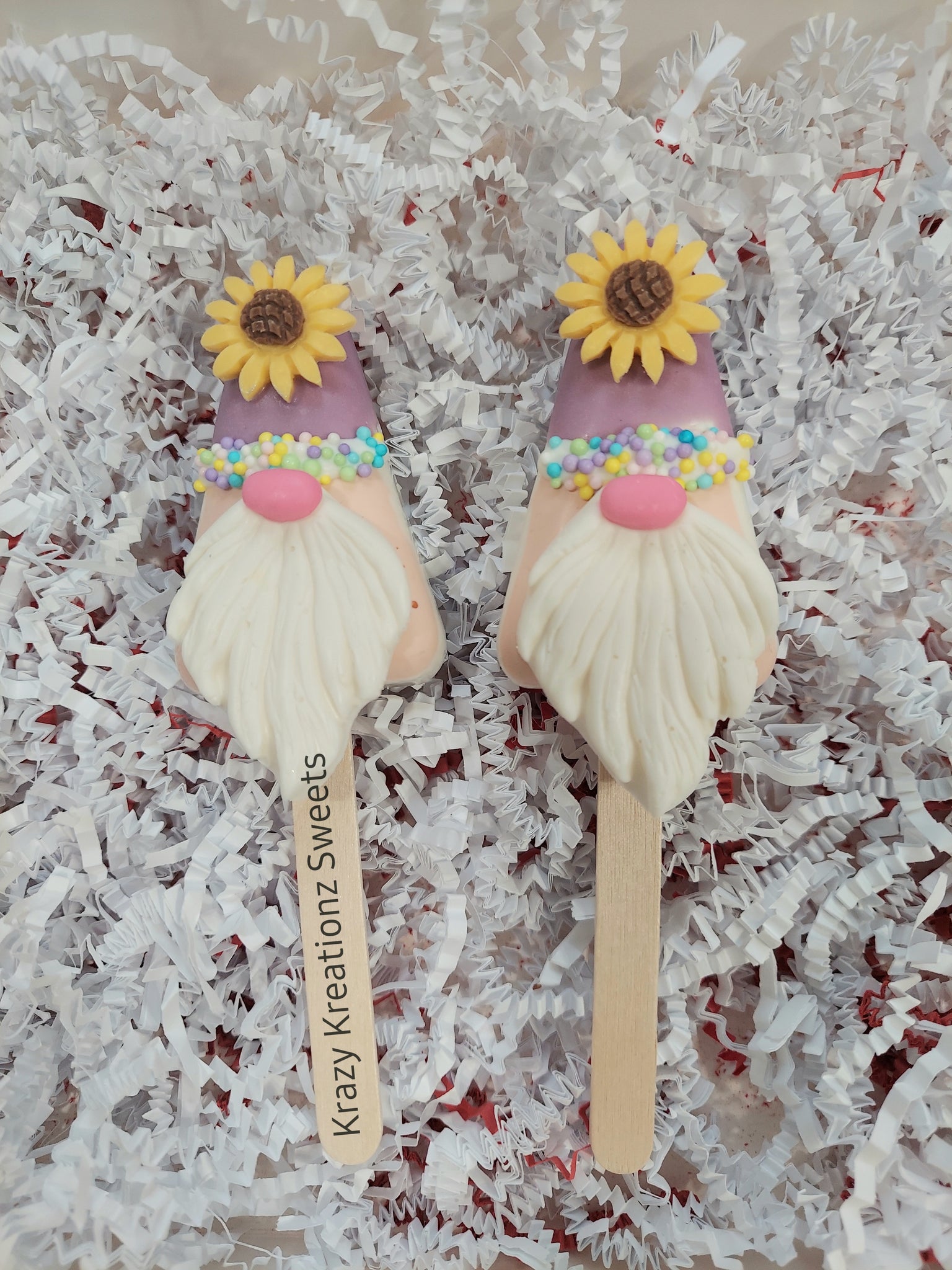 Summer Gnome Cakesicles